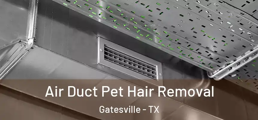  Air Duct Pet Hair Removal Gatesville - TX