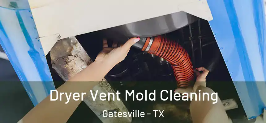  Dryer Vent Mold Cleaning Gatesville - TX