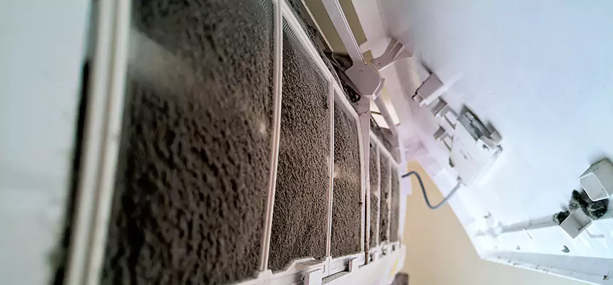 Preventive Air Duct Bacteria Removal in Gatesville