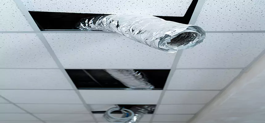 Affordable HVAC Sanitizing After Pest Removal in Gatesville