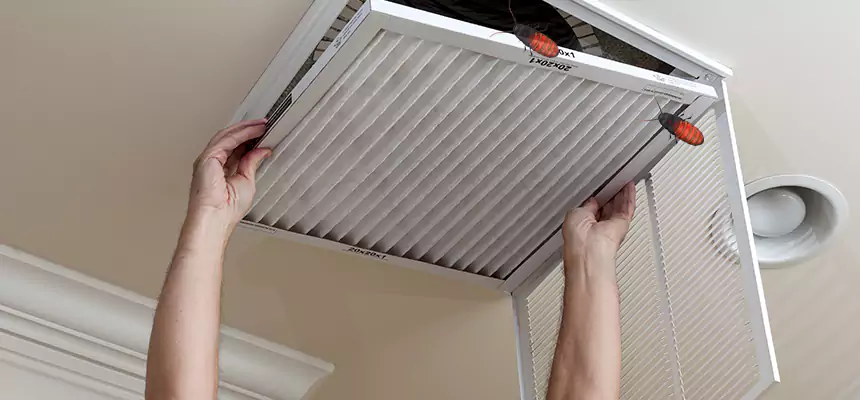 Our Insect Removal from Air Ducts Services in Gatesville, TX