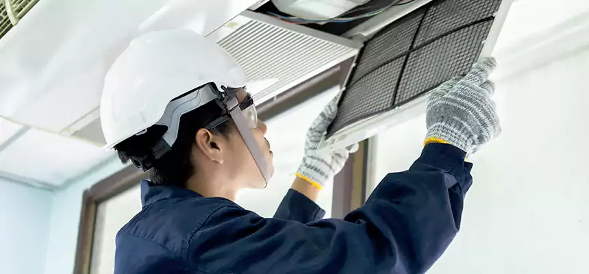 Our Mold & Mildew Removal from Air Ducts Services in Gatesville, TX