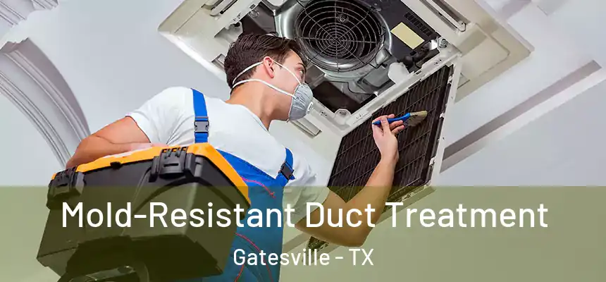 Mold-Resistant Duct Treatment Gatesville - TX