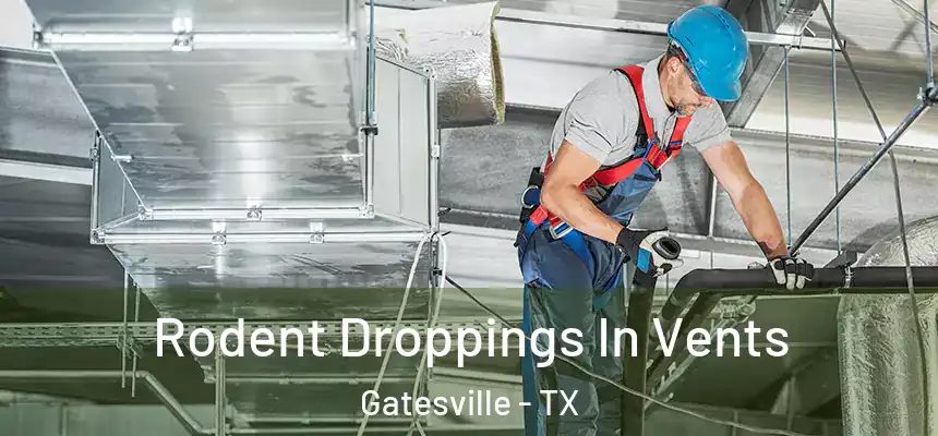  Rodent Droppings In Vents Gatesville - TX