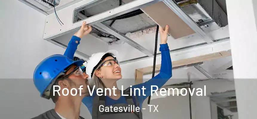 Roof Vent Lint Removal Gatesville - TX