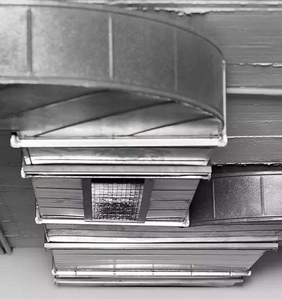 Professional Air Duct Pest Removal in Gatesville, TX