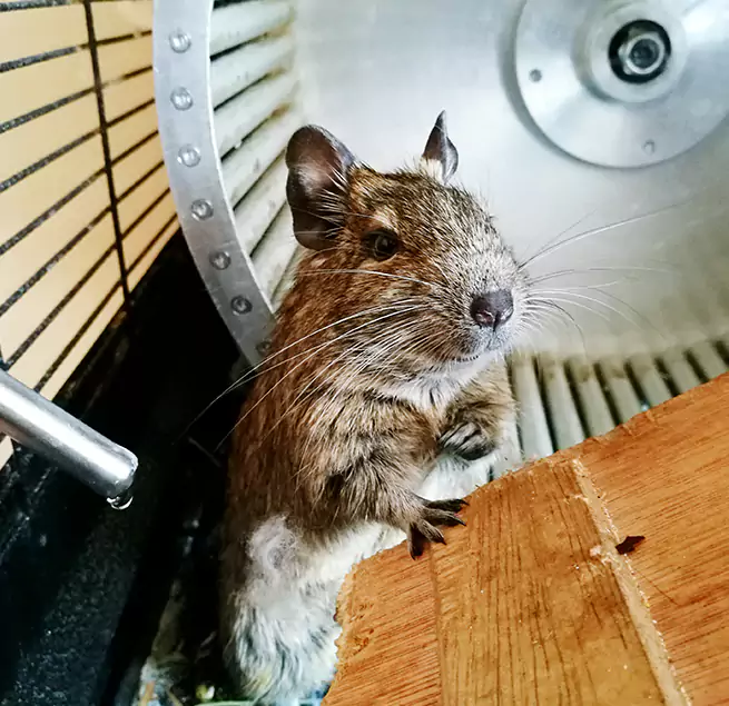 Why Homeowners & Businesses Trust Us Gatesville, TX